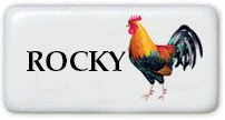 Stock Designs